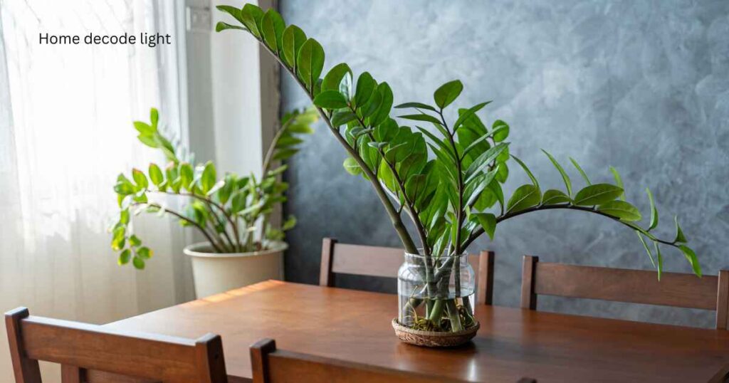 Can we keep live plants in the bedroom?