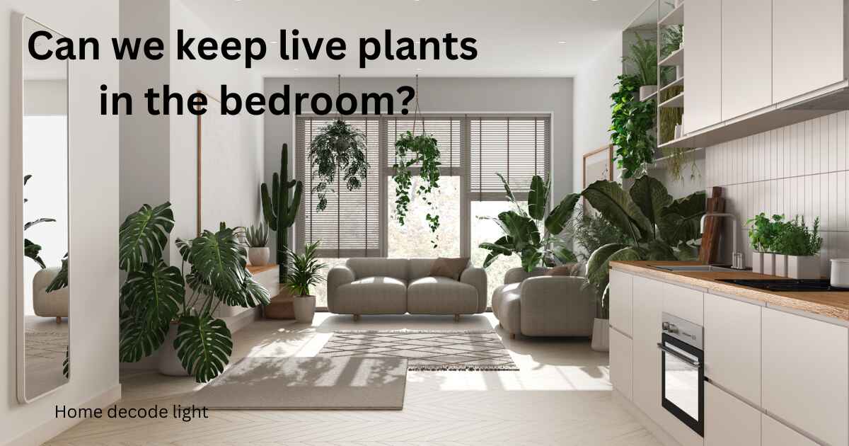 Can we keep live plants in the bedroom?